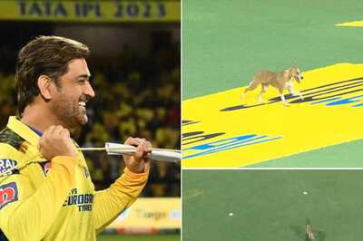 WATCH: Dog Delays Start of LSG vs CSK Encounter at Chepauk