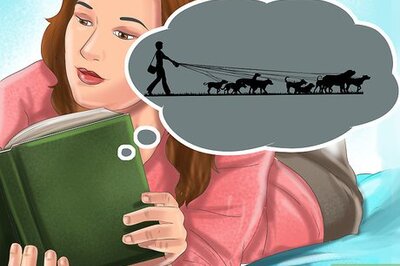 How to Understand Dog Pack Dynamics