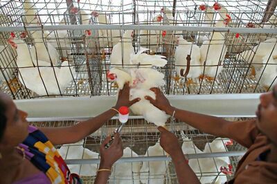 Now, Haryana bans sale of meat for 9 days during Jain festival of Paryushan