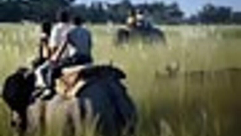 Photogallery: Forest officials capture runaway rhino