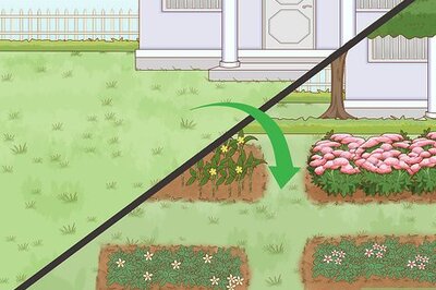 How to Help Protect Biodiversity