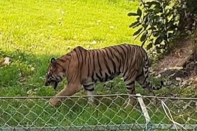 Kolkata’s Alipore Zoo to be Revamped on Prague Zoo Model; New Animals to be Brought In: Forest Dept