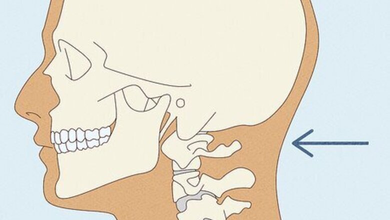 “Nape of the Neck” Meaning Explained