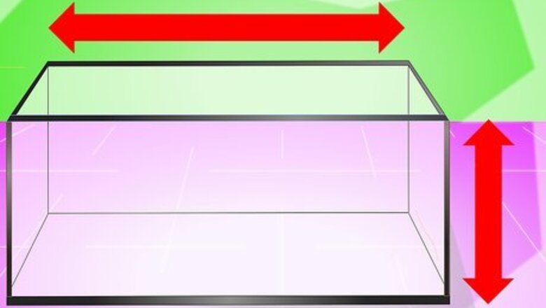 How to Set up a Fish Tank (for Goldfish)