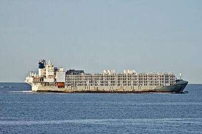 Search For Missing Livestock Ship Crew Off Japan Resumes