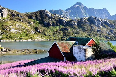 Norway Named Happiest Country In The World'