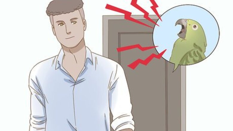 How to Calm Down a Bird