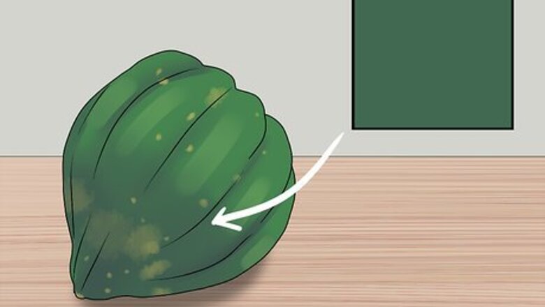How to Buy Acorn Squash
