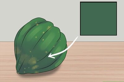 How to Buy Acorn Squash