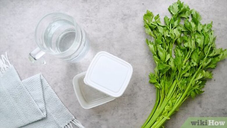How to Store Celery