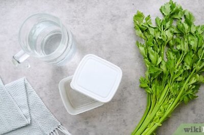 How to Store Celery