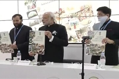 International Solar Alliance a significant initiative: France