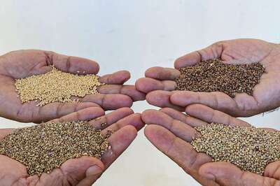 How This Rural Entrepreneur from Telangana is Spreading Sugar-Free Millet Goodness