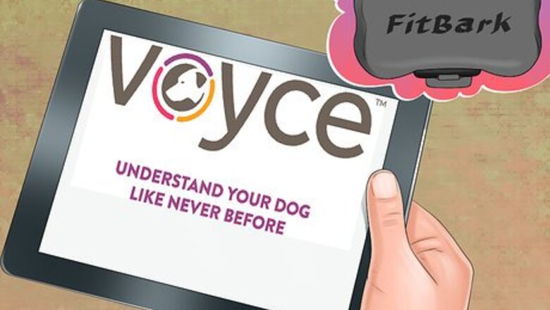 How to Track Your Dog's Patterns