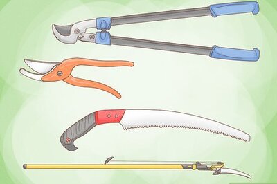How to Prune a Crepe Myrtle