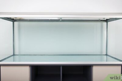 How to Make a Simple Leopard Gecko Enclosure