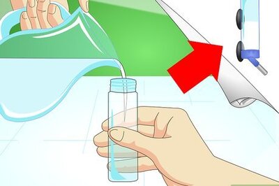 How to Care for Your Lizard