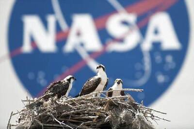 2017 Ozone Hole Smallest Since 1988: NASA