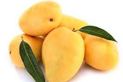 Now, NaMo mangoes to hit the stores