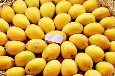 Love Mangoes? Now You Can Order the Organic Malda Variety Online