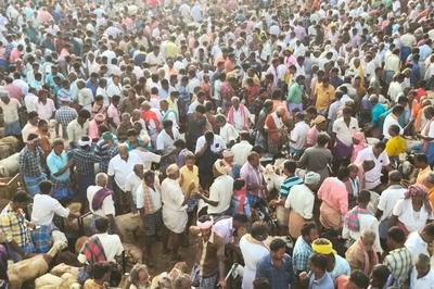 Eid-ul-Fitr Jackpot for Tamil Nadu Markets as Goat, Sheep Sales Touch Rs 12 Crore