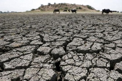 Need to Explain to People What Climate Change Means in Daily Life: UN Environment Chief