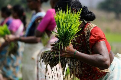 Liberalization Neglected Rural Growth for 30 Years. India Can No Longer Afford to Do That