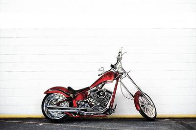 K9 Red Chopper-111: All You Need to Know About the Big Dog in Pictures