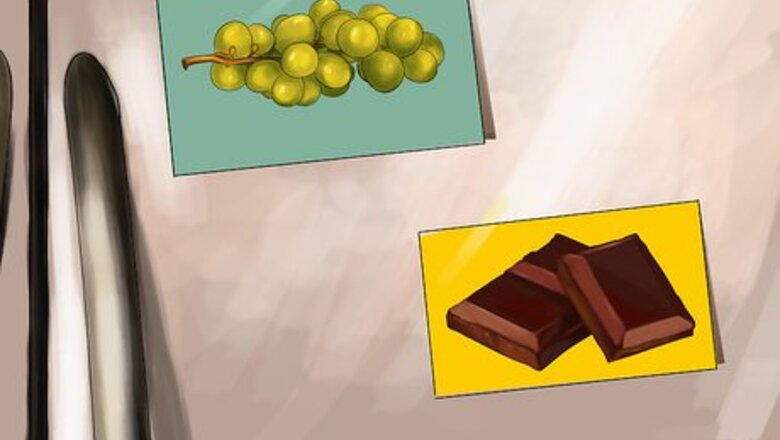 How to Keep Your Dog Away from Halloween Candy