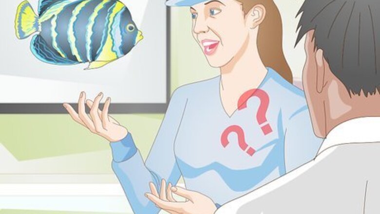 How to Add New Tropical Fish to Your Tank