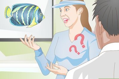 How to Add New Tropical Fish to Your Tank