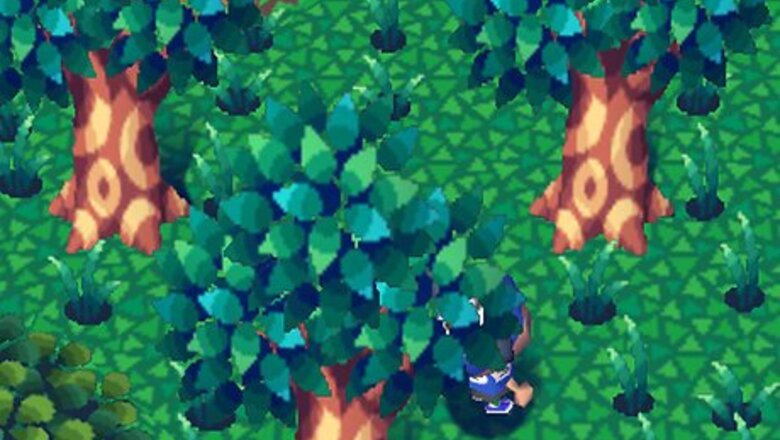 How to Have the Perfect Animal Crossing: Wild World Life