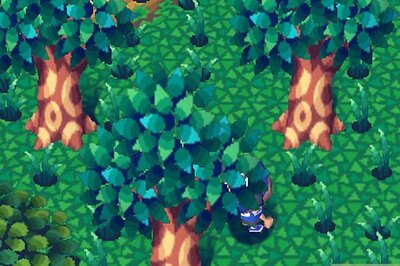 How to Have the Perfect Animal Crossing: Wild World Life