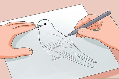How to Draw Like a Pro
