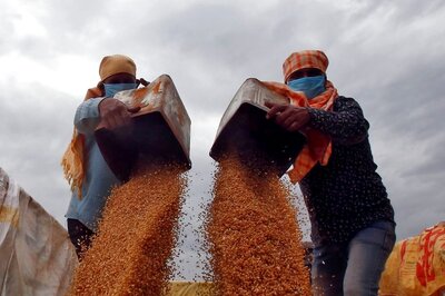 India Set to Begin Shipment of Wheat to Afghanistan Via Pak from Tuesday