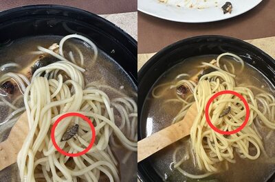 Tripura Woman Finds Dead Cockroach in Her Ramen Bowl Ordered from Zomato, Company Responds
