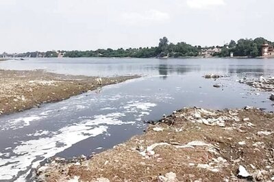 91 Sewerages Pollute Yamuna Before it Reaches Agra, No Solution in Sight