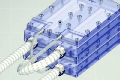 Bioartificial Kidney Can Function on Blood Pressure? Read to Know More