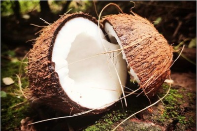 Here's Why Coconut Oil is the Super Ingredient for Your Hair