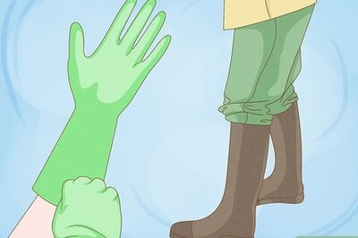 How to Kill a Scorpion