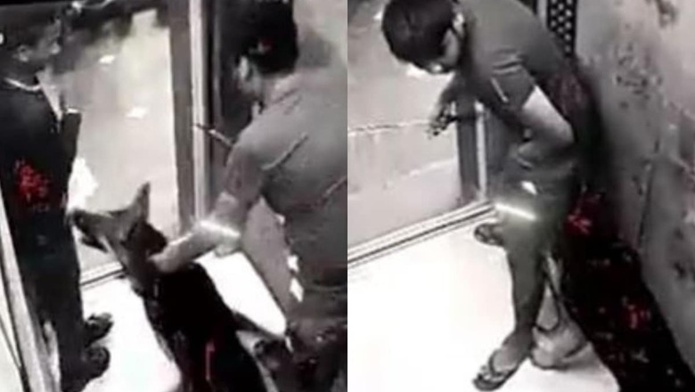 WATCH: Pet Dog Attacks Man in Noida Housing Society Lift Days After Ghaziabad Incident