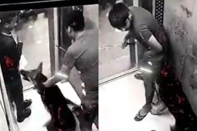 WATCH: Pet Dog Attacks Man in Noida Housing Society Lift Days After Ghaziabad Incident