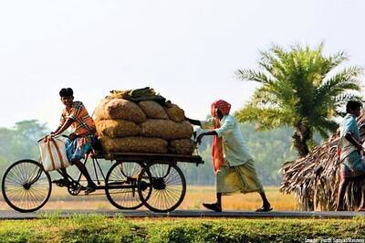 Govt pegs FY14 subsidy bill 11 pc lower than current fiscal