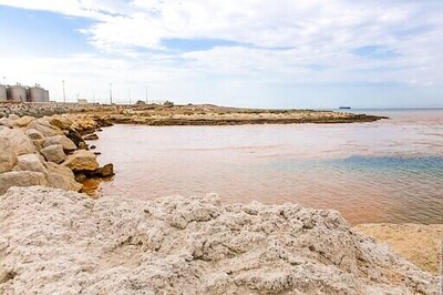 French refinery leaks toxic chemical into marine life area