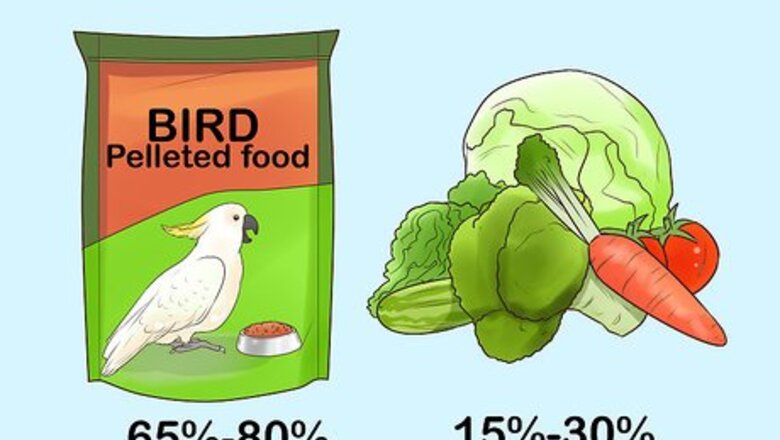 How to Deal with Obesity in Cockatoos