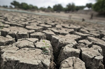 Economies Could Shrink by Mid-Century Due to Scarce Water: World Bank