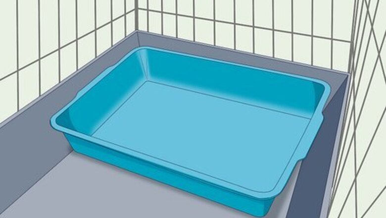 How to Train Your Ferret to Use a Litter Box
