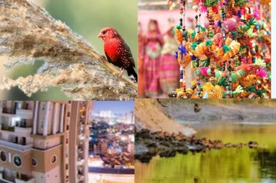 Botanical Garden To Okhla Bird Sanctuary, A Look At The 5 Best Places To Visit in Noida
