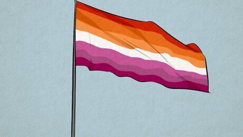 What Does the Sunset Lesbian Pride Flag Represent?