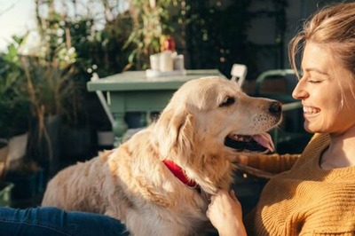 Pawsitivity for Gen Z: How Furry Friends Are Boosting the Mental Health of Individuals